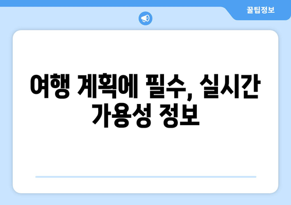 여행 계획에 필수, 실시간 가용성 정보