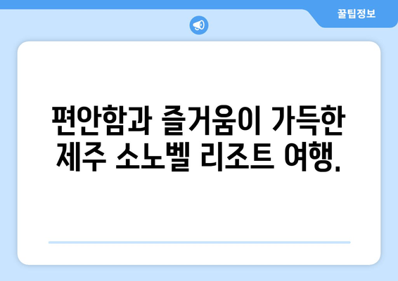 제주도에서 힐링과 재충전을! 소노벨 리조트에서 누리는 특별한 휴식 | 제주 소노벨, 휴식, 리조트, 여행