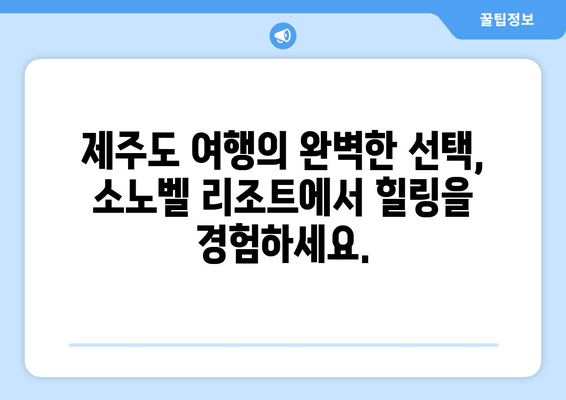 제주도에서 힐링과 재충전을! 소노벨 리조트에서 누리는 특별한 휴식 | 제주 소노벨, 휴식, 리조트, 여행