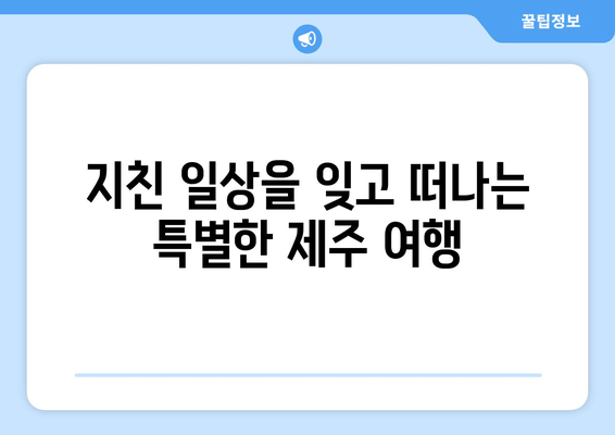 제주도 낭만 가득한 해변 휴양, 아모렉스 리조트에서 펼쳐지는 특별한 시간 | 제주도 여행, 럭셔리 리조트, 해변 휴식