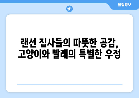 고양이와 빨래, 트위터에서 피어난 따뜻한 우정 | 랜선 집사들의 훈훈한 이야기