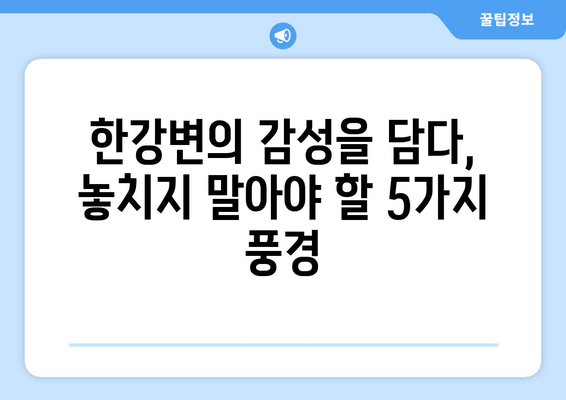 한강변의 휴식, 여유를 찾는 5가지 방법 | 서울, 데이트, 산책, 힐링, 명소