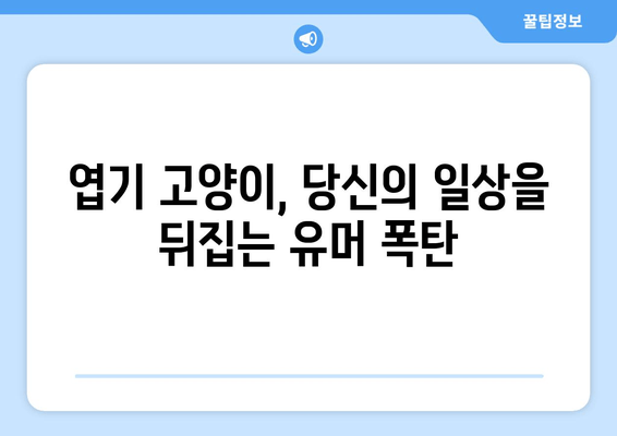 엽기 고양이 선물, 웃음 폭탄! 생일 선물로 받은 엽기 고양이의 기상천외한 행동 모음 | 고양이, 애완동물, 유머, 생일 선물