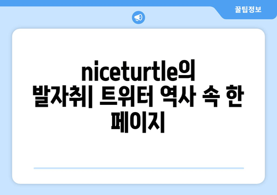 niceturtle 트위터 10년| 소셜 미디어 역사를 새긴 흔적 |  인플루언서, 커뮤니티, 그리고 변화