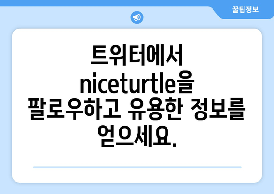 8월 트위터 약속| niceturtle의 풍부한 지식 공유 | 트위터, 8월, niceturtle, 지식 공유, 정보