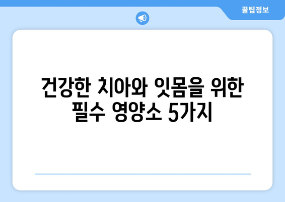 치아와 잇몸 건강을 위한 영양제 가이드| 꼭 챙겨야 할 5가지 | 치아 건강, 잇몸 건강, 영양제 추천, 건강 관리