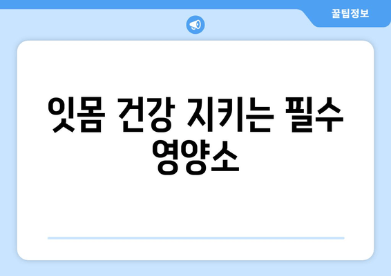 건강한 치은, 영양제로 지켜내세요! | 치은 건강, 잇몸 건강, 영양제 추천, 잇몸 질환 예방