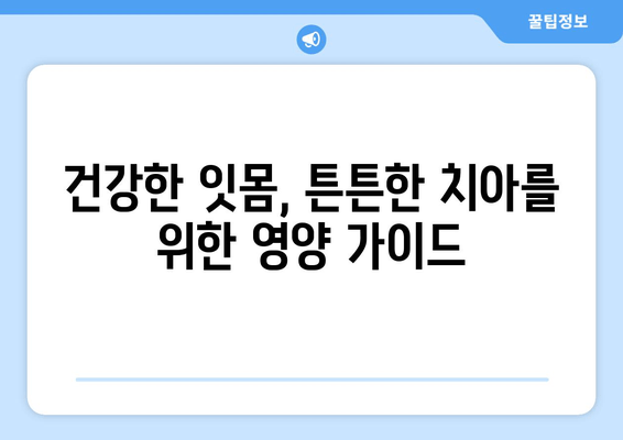 잇몸과 치아 건강 지키는 영양제| 구강 염증 예방 & 관리 가이드 | 건강, 영양, 잇몸, 치아, 염증