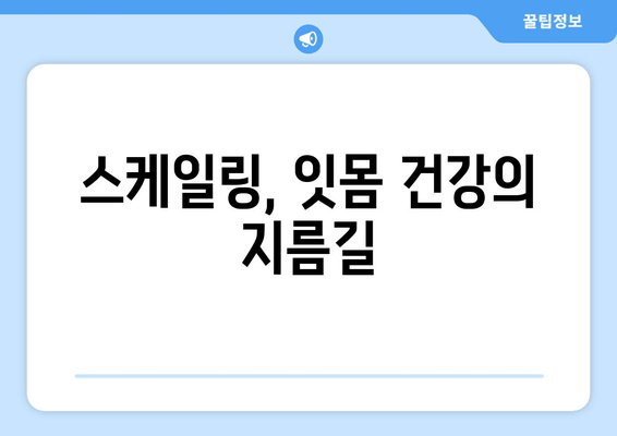 잇몸 건강을 위한 필수 지침| 스케일링이 중요한 이유 | 잇몸 치료, 치주 질환, 구강 관리