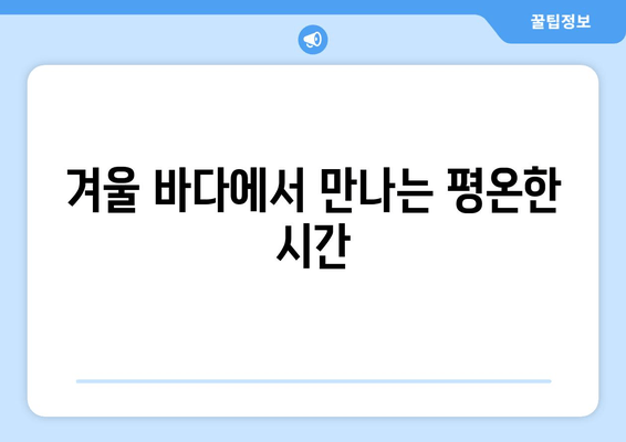 겨울 바다에서 만나는 평온한 시간