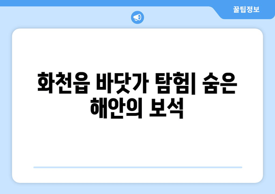 화천읍 바닷가 탐험| 숨은 해안의 보석