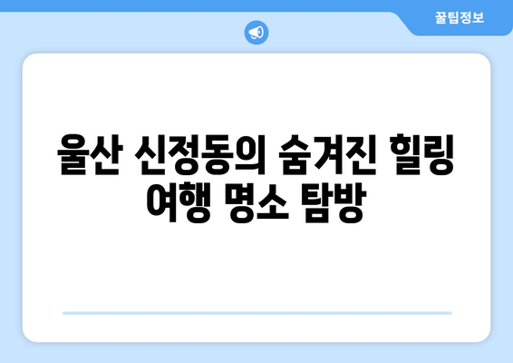 울산 신정동의 숨겨진 힐링 여행 명소 탐방