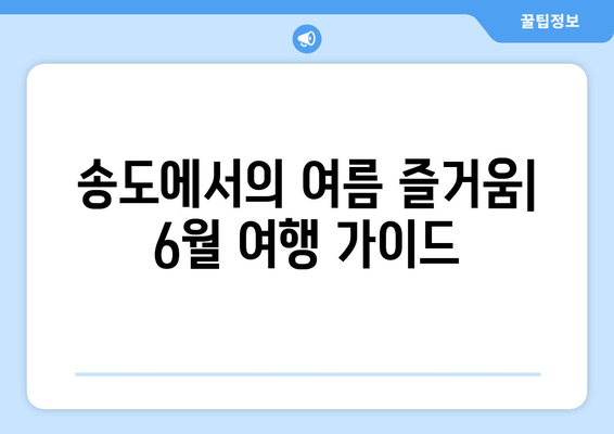 송도에서의 여름 즐거움| 6월 여행 가이드