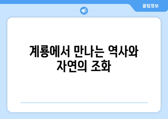 계룡에서 만나는 역사와 자연의 조화