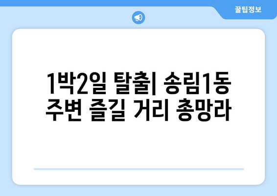 1박2일 탈출| 송림1동 주변 즐길 거리 총망라