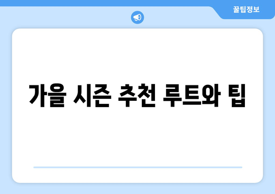 가을 시즌 추천 루트와 팁