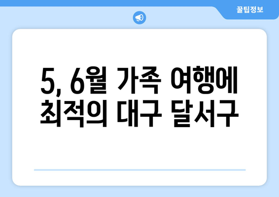 5, 6월 가족 여행에 최적의 대구 달서구