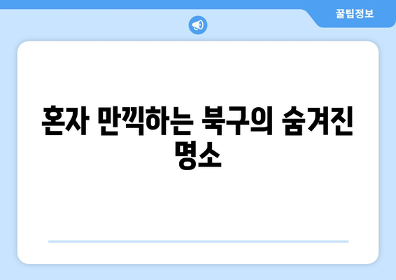 혼자 만끽하는 북구의 숨겨진 명소