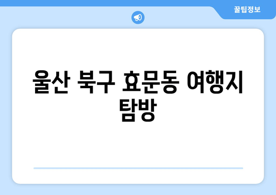 울산 북구 효문동 여행지 탐방