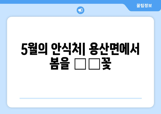 5월의 안식처| 용산면에서 봄을 উপ꽃