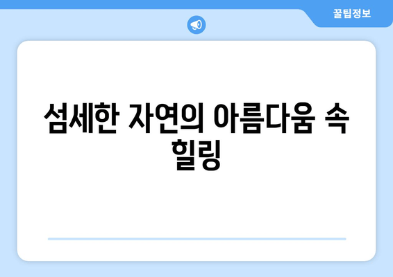 섬세한 자연의 아름다움 속 힐링