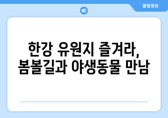 한강 유원지 즐겨라, 봄볼길과 야생동물 만남