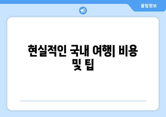 현실적인 국내 여행| 비용 및 팁