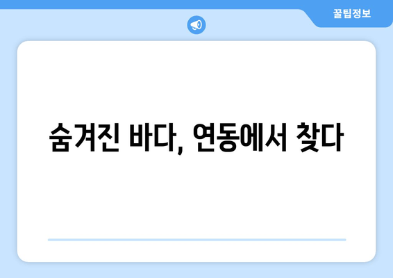 숨겨진 바다, 연동에서 찾다