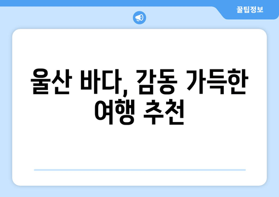 울산 바다, 감동 가득한 여행 추천