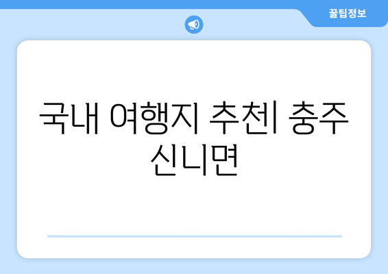 국내 여행지 추천| 충주 신니면