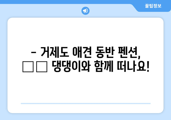 반려견과 함께 떠나는 거제도 여행| 🐶🐾 애견 동반 펜션 추천 & 가이드 | 거제도, 애견펜션, 강아지 여행, 반려동물 숙소