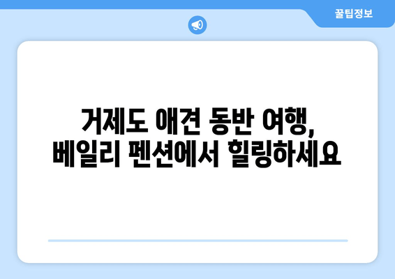 거제도 반려견과 함께 떠나는 행복한 여행| 베일리 펜션 애견 숙소 추천 | 거제도 애견 동반 여행, 펜션, 숙소, 추천, 가이드