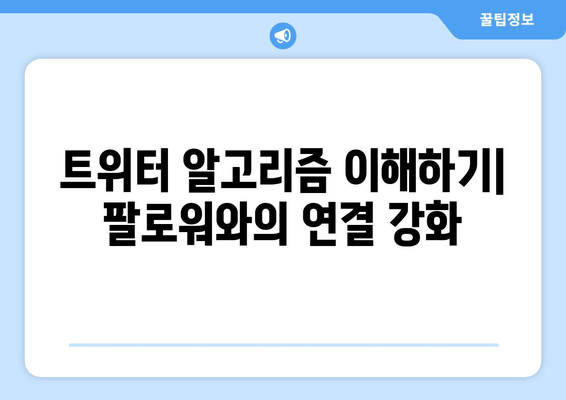 트위터 궁금증 해소| 모든 것을 알려드립니다 |  초보자를 위한 완벽 가이드