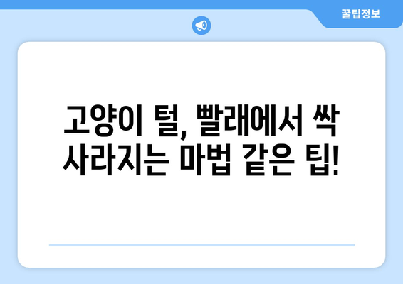 고양이와 빨래, 트위터에서 공유된 꿀팁 모음 | 고양이 털 제거, 빨래 팁, 고양이와 함께하는 삶