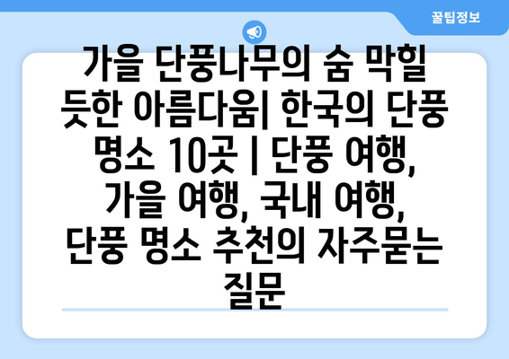 가을 단풍나무의 숨 막힐 듯한 아름다움| 한국의 단풍 명소 10곳 | 단풍 여행, 가을 여행, 국내 여행, 단풍 명소 추천