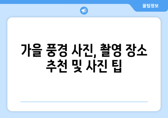 낙엽의 무용이 시작되는 계절, 아름다움을 담는 사진 팁 | 가을, 단풍, 풍경 사진, 촬영 가이드