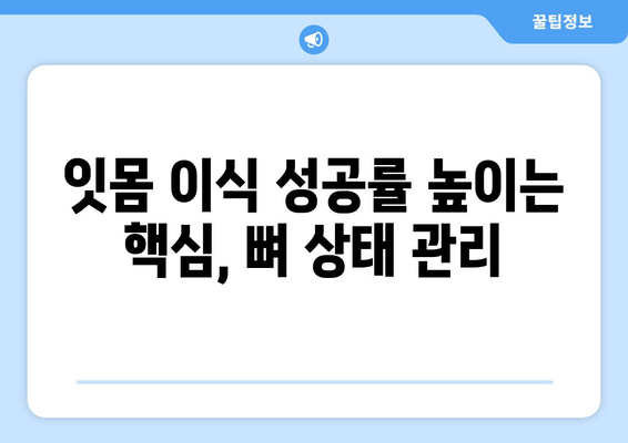 잇몸 이식 수술 전 필수 체크! 뼈 상태 확인은 어떻게? | 잇몸 이식, 뼈이식, 치과 상담, 수술 전 검사