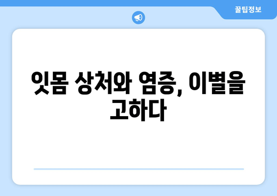 잇몸 상처와 염증, 피나는 잇몸에서 벗어난 나의 경험 | 잇몸 건강, 치료 후기, 치주염 극복