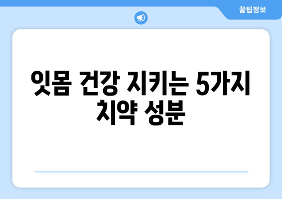 잇몸 염증 완화, 효과적인 치약 성분 5가지 | 잇몸 건강, 치주염, 치약 추천