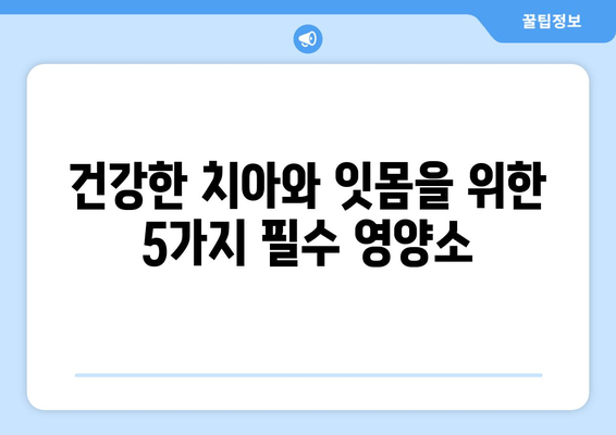 치아와 잇몸 건강을 위한 영양제| 5가지 필수 성분 & 추천 제품 | 건강, 영양, 치아 관리, 잇몸 관리