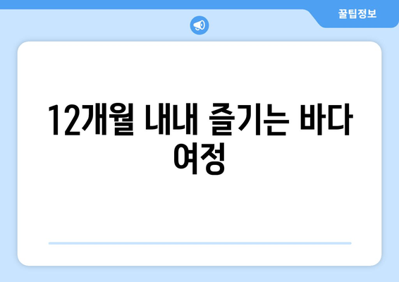 12개월 내내 즐기는 바다 여정