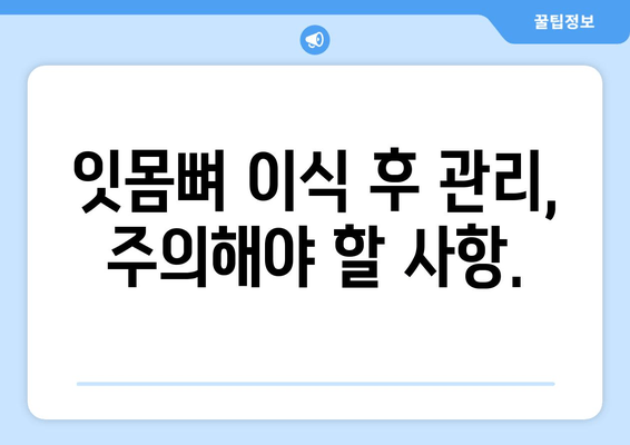 잇몸뼈 이식, 나에게 맞는 방법은? | 상태별 맞춤 치료 가이드