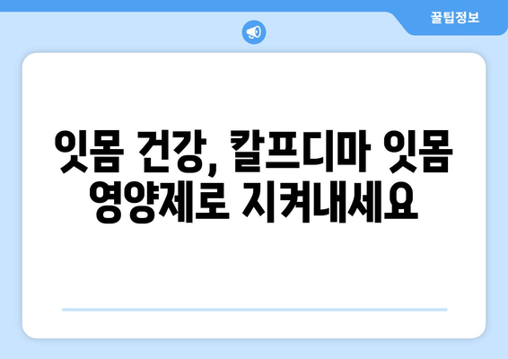 잇몸 건강 회복에 도움되는 칼프디마 성분 잇몸 영양제 추천 | 아프고 나서 챙기는 건강, 잇몸 영양제 추천, 칼프디마 효과