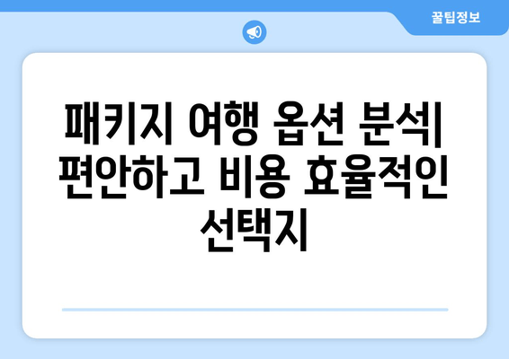 패키지 여행 옵션 분석| 편안하고 비용 효율적인 선택지