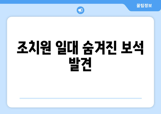 조치원 일대 숨겨진 보석 발견