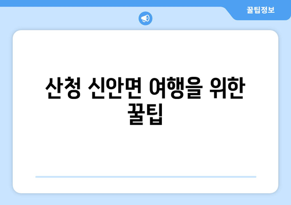 산청 신안면 여행을 위한 꿀팁