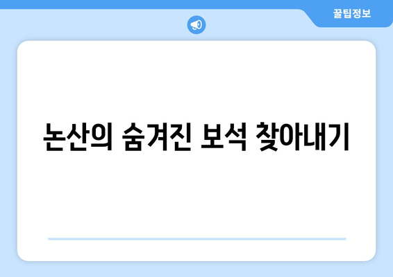 논산의 숨겨진 보석 찾아내기