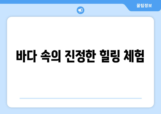 바다 속의 진정한 힐링 체험