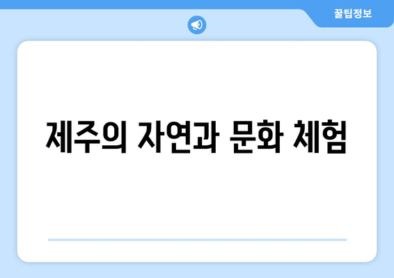 제주의 자연과 문화 체험