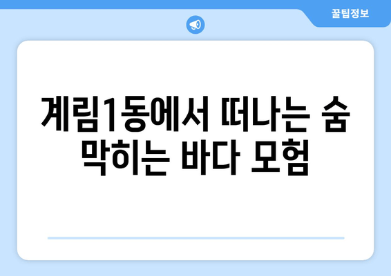 계림1동에서 떠나는 숨 막히는 바다 모험